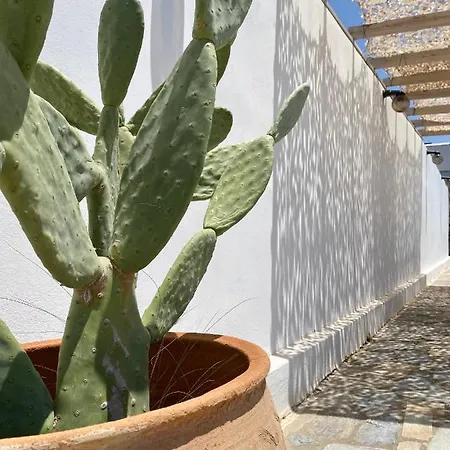 Fikas Hotel Naxos City